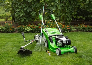 Lawn and Tree Care