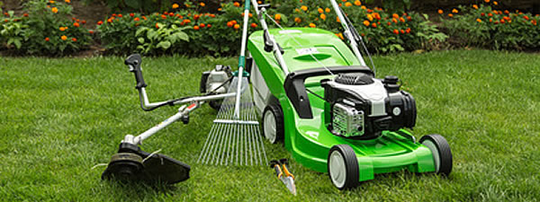 Lawn & Tree care